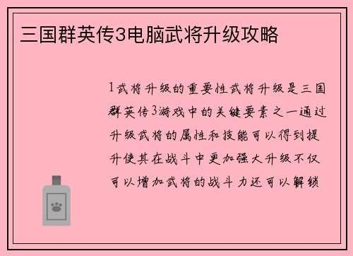 三国群英传3电脑武将升级攻略
